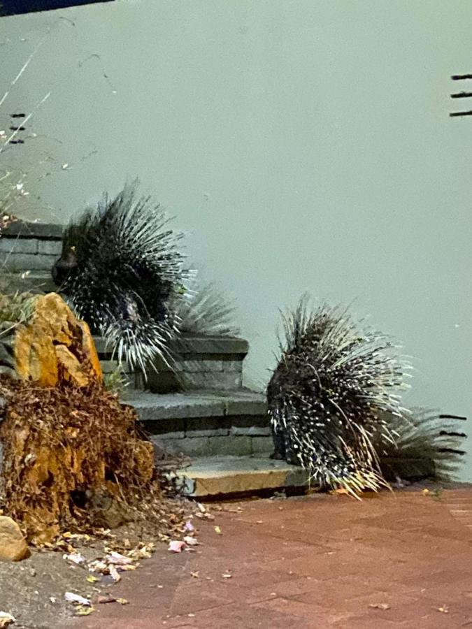 Porcupine Walk Διαμέρισμα Simonʼs Town Εξωτερικό φωτογραφία