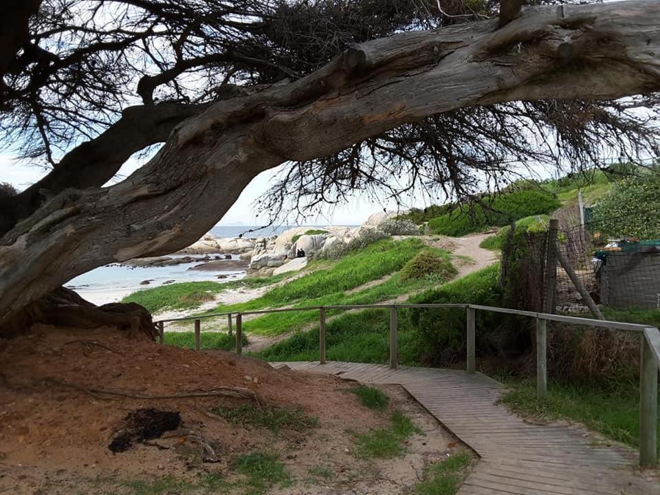 Porcupine Walk Διαμέρισμα Simonʼs Town Εξωτερικό φωτογραφία