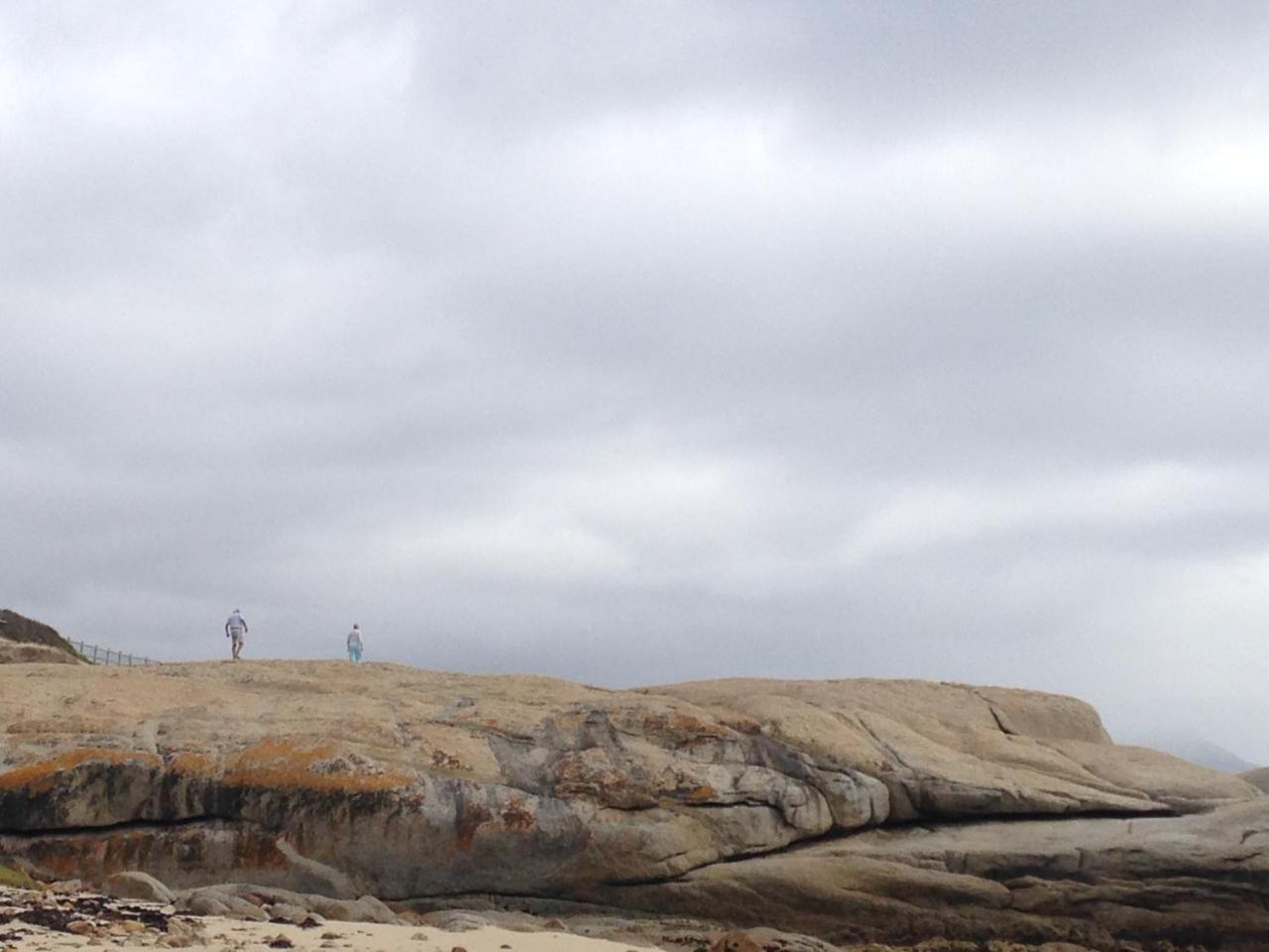 Porcupine Walk Διαμέρισμα Simonʼs Town Εξωτερικό φωτογραφία